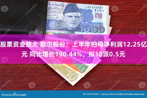 股票资金放大 歌尔股份：上半年归母净利润12.25亿元 同比增长190.44%，拟10派0.5元