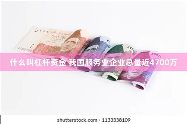 什么叫杠杆资金 我国服务业企业总量近4700万