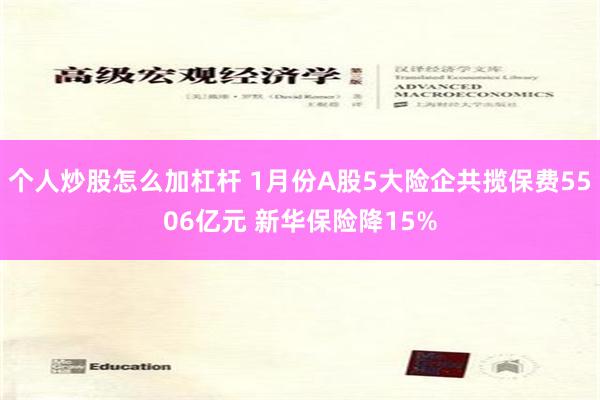 个人炒股怎么加杠杆 1月份A股5大险企共揽保费5506亿元 新华保险降15%