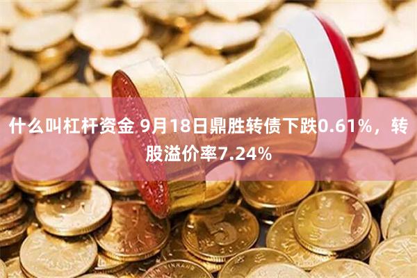 什么叫杠杆资金 9月18日鼎胜转债下跌0.61%，转股溢价率7.24%