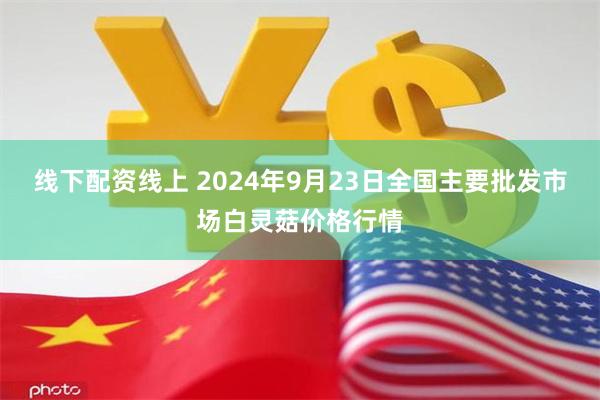 线下配资线上 2024年9月23日全国主要批发市场白灵菇价格行情