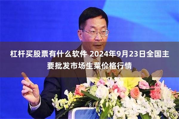 杠杆买股票有什么软件 2024年9月23日全国主要批发市场生菜价格行情