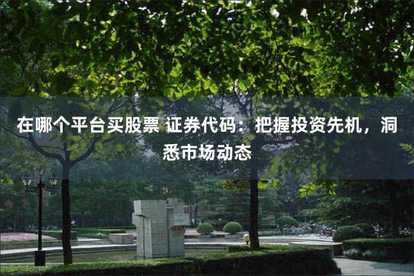 在哪个平台买股票 证券代码：把握投资先机，洞悉市场动态