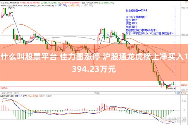 什么叫股票平台 佳力图涨停 沪股通龙虎榜上净买入1394.23万元