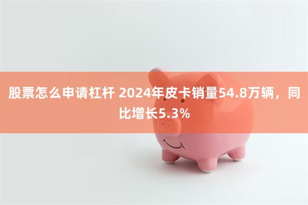 股票怎么申请杠杆 2024年皮卡销量54.8万辆，同比增长5.3%