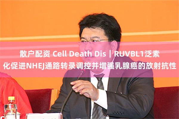 散户配资 Cell Death Dis｜RUVBL1泛素化促进NHEJ通路转录调控并增强乳腺癌的放射抗性